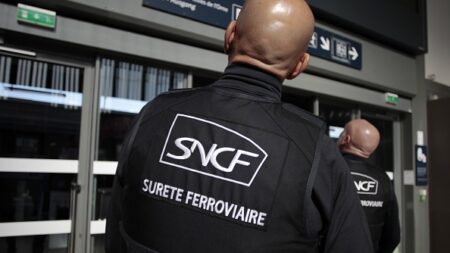 Paris: pour une simple remarque, un homme se fait poignarder à la carotide dans le train