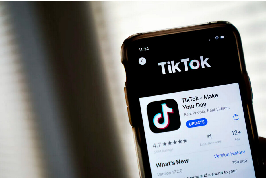 Quels sont les pays qui demandent - et obtiennent - des suppressions de contenus sur TikTok ?