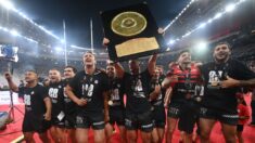 Rugby:  Le Stade toulousain champion de France pour la 22e fois