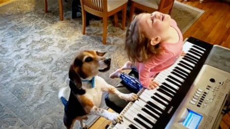 [Vidéo] Un chien aveugle aime jouer du piano et chanter avec une fillette, formant ainsi un duo adorable