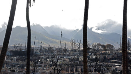 À Hawaï, après les incendies meurtriers, le responsable de la gestion des crises de Maui démissionne