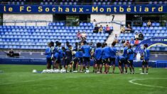 Foot/National: sauvé de la faillite, Sochaux recrute sept joueurs