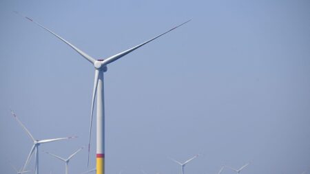 Éoliennes en mer et mort de baleines : de plus en plus d’éléments établissent un lien de causalité