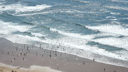 Vendée: un poisson-lune observé au bord de la Grande plage des Sables-d’Olonne