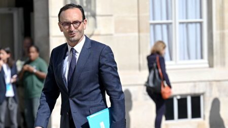 Un recours au 49.3 est envisagé: «on ne peut pas laisser un pays sans budget», prévient Thomas Cazenave