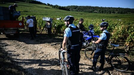 Agriculture: le sort de la cellule de gendarmerie Demeter renvoyé au Conseil d’État