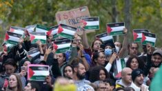 Le Conseil d’État doit se prononcer sur l’interdiction des manifestations pro-palestiniennes