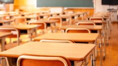 Grenoble: huit établissements scolaires fermés après des alertes à la bombe