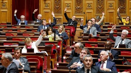 Loi immigration: l’examen du controversé article 3 au Sénat repoussé, dans l’attente d’un compromis