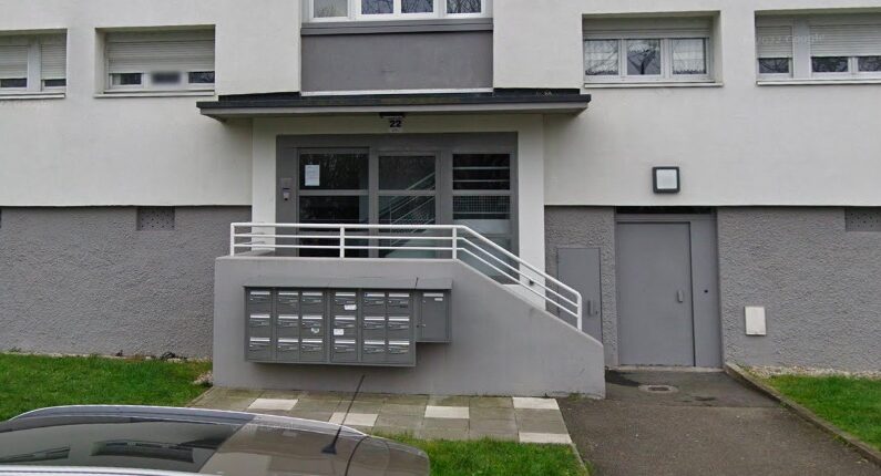 L'immeuble où réside la victime, au 22 de la rue Jeanne Hachette à Lyon. Capture Google Street.