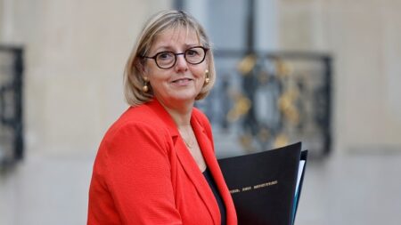Immigration: la ministre de l’Enseignement supérieur Sylvie Retailleau a présenté sa démission, qui a été refusée