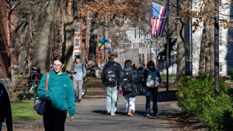 Des étudiants marchent dans la Harvard Yard à Harvard, dans le Massachusetts, le 12 décembre 2023. (Joseph Prezioso/AFP via Getty Images)