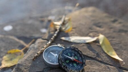 Sans boussole pour les guider, les jeunes de la génération Z errent en pleine nature