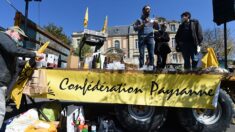 À Rennes, la Confédération paysanne dénonce la « co-gestion » entre la FNSEA et le ministère