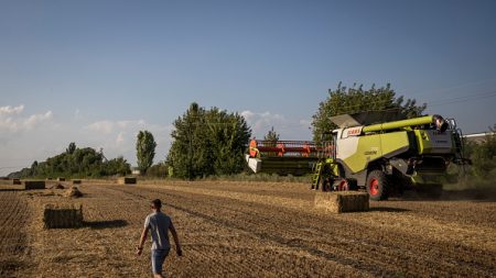 Ukraine: l’accord dans l’UE limitant les importations exclut le blé et fait l’objet de critiques
