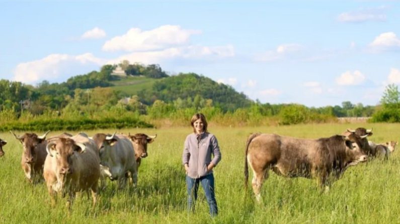 Parce que l’une de ses 200 vaches a été testée positive au test de la tuberculose bovine, Bérénice Walton, une éleveuse de vaches bazadaises à Arveyres (Gironde), doit faire euthanasier la totalité de son cheptel. (Photo cagnotte en ligne sur Leetchi.com)
