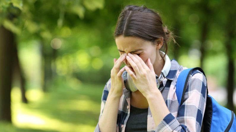 Certaines régions interdisent les arbres femelles et planter uniquement des arbres mâles augmente les allergies des personnes sensibles au pollen. (Médias Pheelings/Shutterstock)