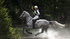 Équitation: une cavalière de 36 ans décède après une chute lors d’une compétition à Londres