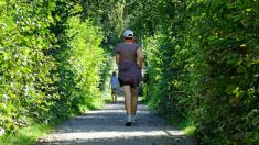 Suisse : une joggeuse tuée par un homme nu dans un parc près de Zurich