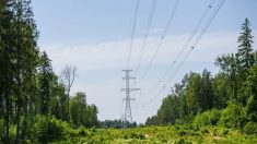 États baltes : accélération des efforts de découplage du système électrique russe