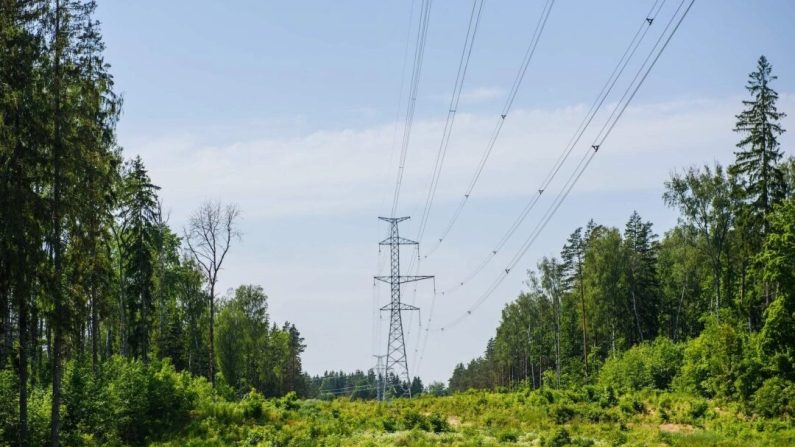 Les pylônes de la ligne électrique du cercle de Kurzeme (Kurzemes Loks), le 18 juin 2020, à Tukums, près de Riga, en Lettonie. (Gints Ivuskans/AFP via Getty Images)
