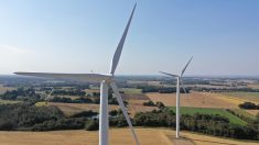 Bretagne : une association obtient le démantèlement de trois éoliennes après 16 ans de procédures, une première en France
