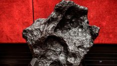 Des scientifiques recherchent une météorite tombée au sud d’Angers