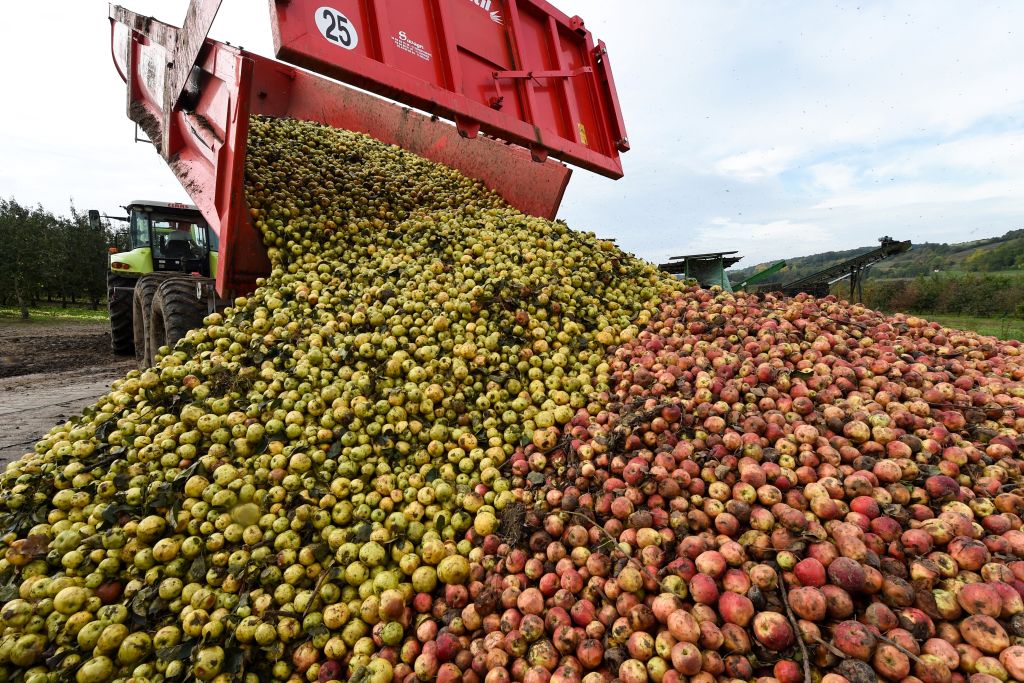 Pyrénées-Orientales  : des agriculteurs écœurés déversent 10 tonnes de fruits pourris devant les Intermarché de Canohès et de Le Soler