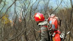 Var : un incendie massif brûle 600 hectares, des hameaux évacués