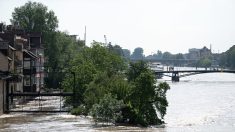 Inondation en Allemagne : une femme retrouvée vivante en restant perchée 60 heures dans un arbre