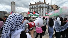 Législatives : « Dégage, sale sioniste ! », une candidate Renaissance est prise à partie par des pro-palestiniens