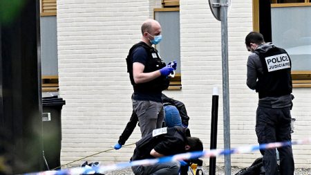 Seine-Saint-Denis : un homme abattu par la police après avoir blessé deux personnes