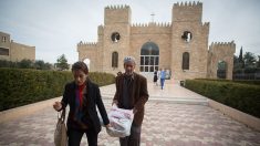 « Porter ma petite pierre à l’édifice de la reconstruction de l’Irak » : Dilan, Franco-Irakien, a choisi d’y retourner
