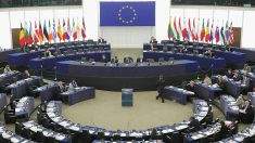 Les rééquilibrages en cours au Parlement européen suspendus aux législatives en France