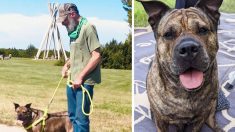 Un homme atteint d’un cancer de stade 4 cherche un nouveau foyer pour sa chienne bien-aimée