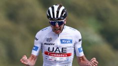 Tour de France : « Pogacar quasiment inaccessible », selon Evenepoel