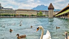 L’Europe de Rick Steves : arrêts urbains dans la Suisse pittoresque