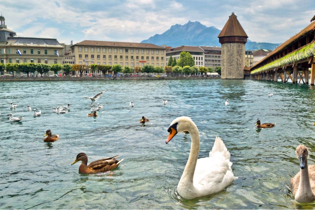 L’Europe de Rick Steves : arrêts urbains dans la Suisse pittoresque