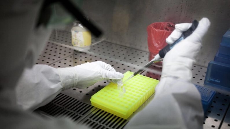 Un technicien de laboratoire manipule des échantillons dans le P3, le laboratoire de l'Institut Pasteur dédié au virus Ebola, à Bangui, en République centrafricaine, le 31 mai 2018. (Florent Vergnes/AFP via Getty Images)
