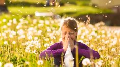 Remèdes naturels : 4 traitements naturels pour soulager les allergies