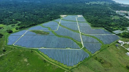 En Gironde, la justice donne le coup de grâce à un projet de parc solaire en forêt