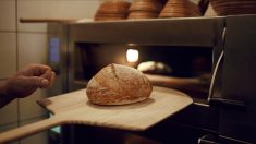 « Je souhaite continuer à travailler »  : privé de courant par EDF, un boulanger lance une cagnotte pour sauver son commerce
