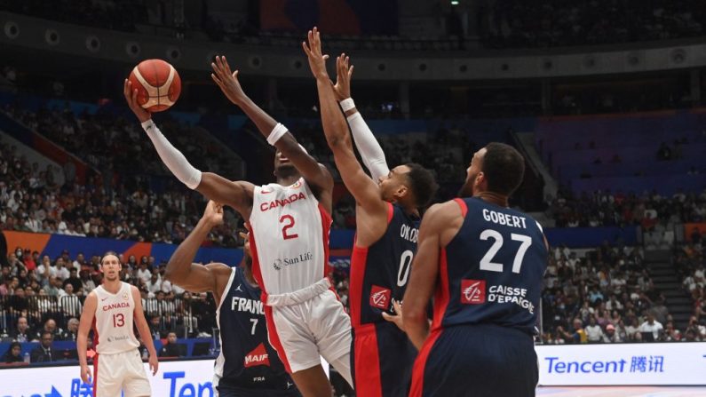 L'équipe de France de basket a subi une troisième défaite en préparation des Jeux olympiques de Paris, battue par le Canada (85-73) vendredi à Orléans malgré quelques progrès. (Photo : ADEK BERRY/AFP via Getty Images)