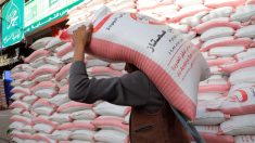 Gaza : l’Ukraine dit avoir livré 1000 tonnes de farine de blé d’aide alimentaire