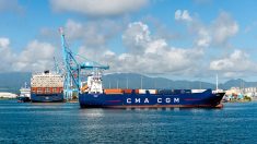 Des marchandises à destination du Havre, 44 conteneurs ont été perdus en mer