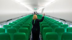 Panne informatique : près de 40 vols de Transavia France ont dû être annulés