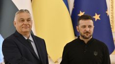 En Ukraine, Viktor Orban souhaite un « cessez-le-feu » et Volodymyr Zelensky une « paix juste »