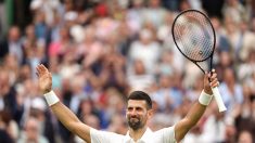 Wimbledon : Novak Djokovic en maîtrise, la tenante du titre Marketa Vondrousova éliminée