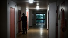 Royaume-Uni : pour éviter la surpopulation carcérale, le gouvernement choisit de libérer des milliers de détenus