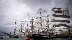Un millier de bateaux attendus aux Fêtes maritimes de Brest